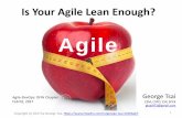 Is Your Agile Lean Enough