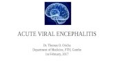 Acute Viral Encephalitis