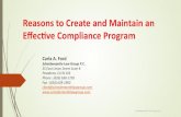 Effective Compliance Program
