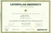Caterpillar Certified Sales Professional-Global Petrolium