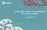 The Big Data Explosion - Are You Ready?