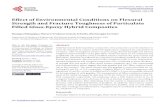 Effect of Environmental Conditions on Flexural Strength and ...