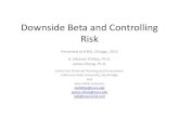 Downside Beta and Controlling Risk