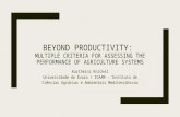 Beyond productivity:  multiple criteria for assessing the performance of agriculture systems