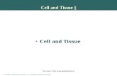 Cells and Tissue-2