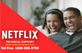 Netflix Customer Support Number - Toll Free 1800-986-3790