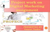 A digital marketing campaign for study abroad consultant