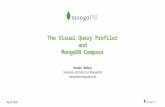 Webinar: The Visual Query Profiler and MongoDB Compass