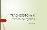 Tracheostomy & tracheal surgeries