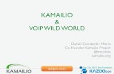 Kamailio and VoIP Wild World