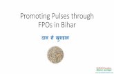 IFPRI- Pulses Through FPOS, Kaushlendra