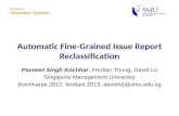Automatic Fine-Grained Issue Report Reclassification