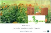 Coir Products Manufacturers in India