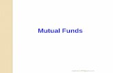 Mutual fund and investment strategy