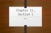 Chapter 11, section 1 notes