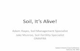 Soil, it’s alive! hayes and munroe