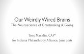 Neuroscience of Grantmaking and Giving