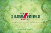 Prestige Silver Springs Brochure - Zricks.com