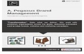 A. Pegasus Brand Management, Vadodara, Laptop & Travel Bags