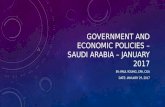 Government and economic policies – saudi arabia – january 2017