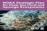 NOAA Strategic Plan for Deep-Sea Coral and Sponge Ecosystems ...