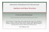 Genome Database for Rosaceae
