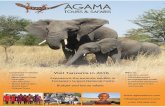Agama tours and safaris tanzania adventures holiday