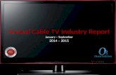 Cable TV Advertising Yearly Industry Report 2015-14