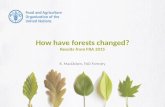 How have forests changed? Results from FRA 2015