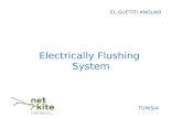 Electrically operated hydropneumatic flushing system