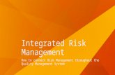 Risk Management integrated pub