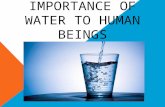 Importance of water to human beings