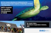 IMO’s support for maritime development of SIDS