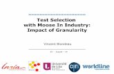 Test Selection with Moose In Industry - Impact of Granularity