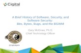 A Brief History of Software, Security, and Software Security: Bits, Bytes, Bugs, and the BSIMM