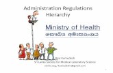 Administration Regulations - Management Hierarchy for Ministry of Health