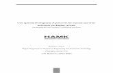 Bachelor's Thesis-Cost optimal development of processes for manual and semiautomatic packaging systems(public version)