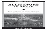Alligators in Texas - Rules, Regulations and General Information