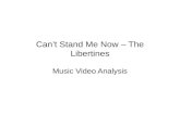 Can’t stand me now – the libertines