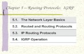Chapter 5 – Routing Protocols: IGRP