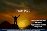 4th Sunday of Lent - Psalm 34:2–7