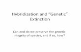 Hybridization and “Genetic” Extinction