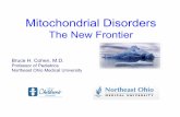 Mitochondrial Disorders: A General Overview for Pediatricians