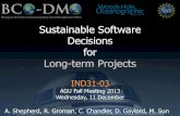 Sustainable Software Decisions for Long-term Projects