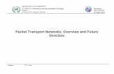 Packet Transport Networks: Overview and Future Direction