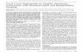 Focal Liver Hyperplasia in Alagille Syndrome: Assessment with ...