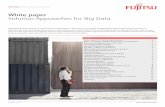 Solution Approaches for Big Data - Fujitsu
