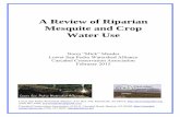 A Review of Riparian Mesquite and Crop Water Use