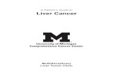 A Patient's Guide To Liver Cancer
