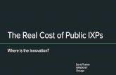 The Real Cost of Public IXPs(PDF)